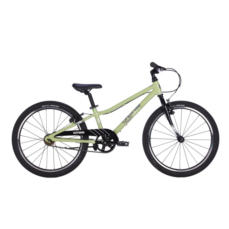 22″ BYK E-450 MTB Girls Single Speed Sage Green