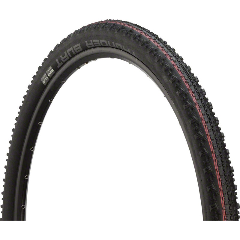 Schwalbe Thunder Burt Tire – 29 x 2.35 Tubeless Folding BLK Evolution Super Ground Addix Speed