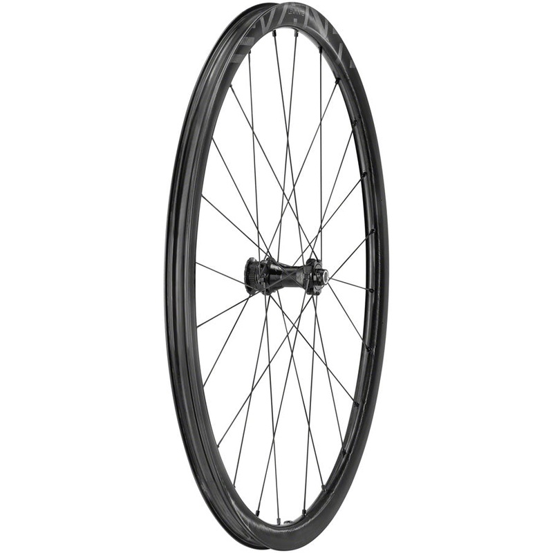 Campagnolo Levante Front Wheel – 700 12 x 100mm CenterLock Black