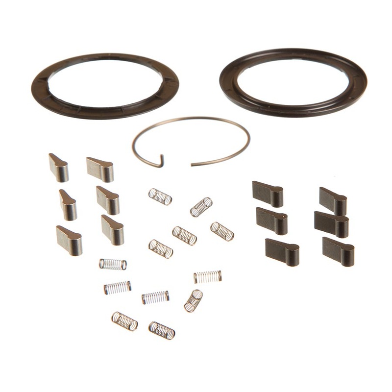 Zipp Spring and Pawl Set – ZM2