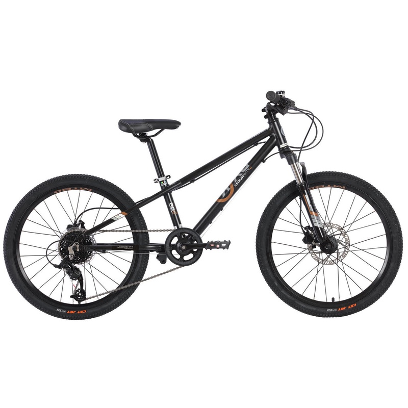 22″ BYK E-450 MTB Disc Boys 8-Speed Black/Gold