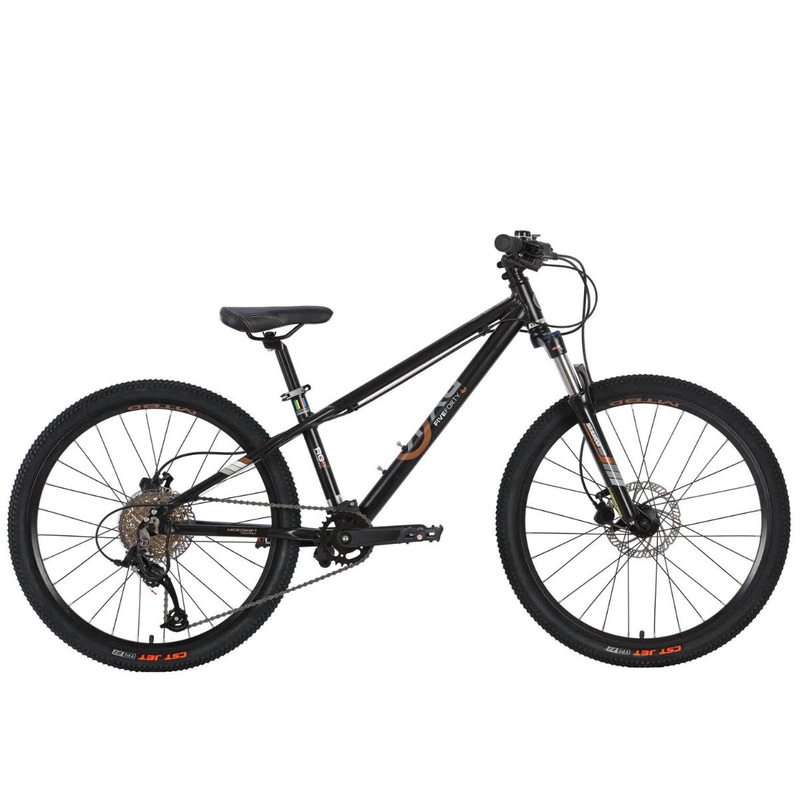 24″ Byk E-540 MTB Disc 9-Speed Black/Gold